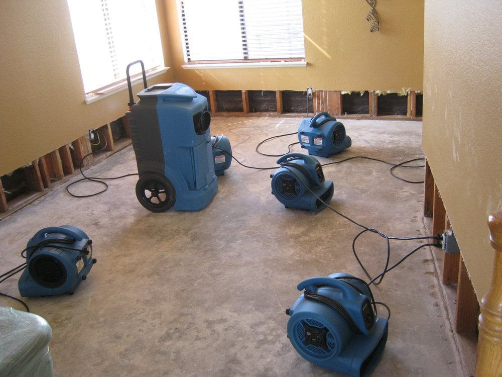 4 Tips to Reduce Risks of Carpet Mold after Water Damage