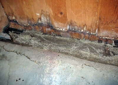 What Commonly Causes Water Damage in a Home__ Our Guide