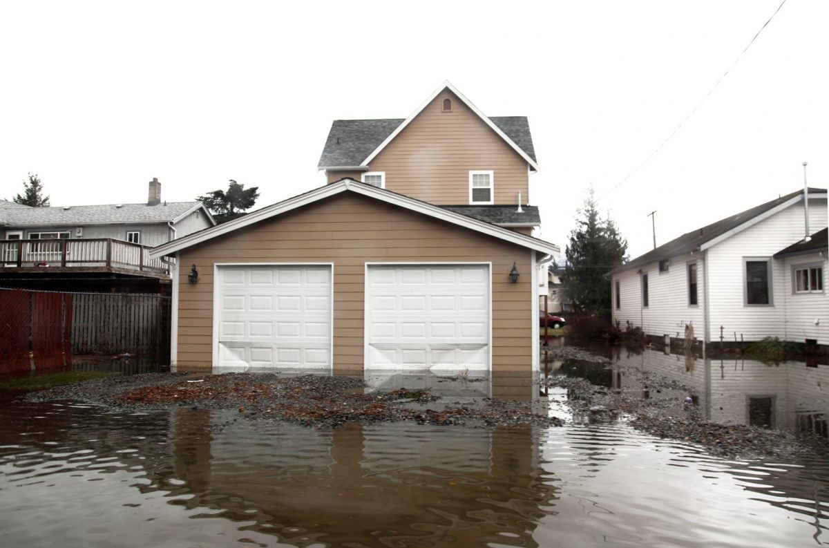 All You Need to Know About Water Damage: Our Guide