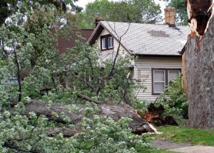 Storm Damage Restoration