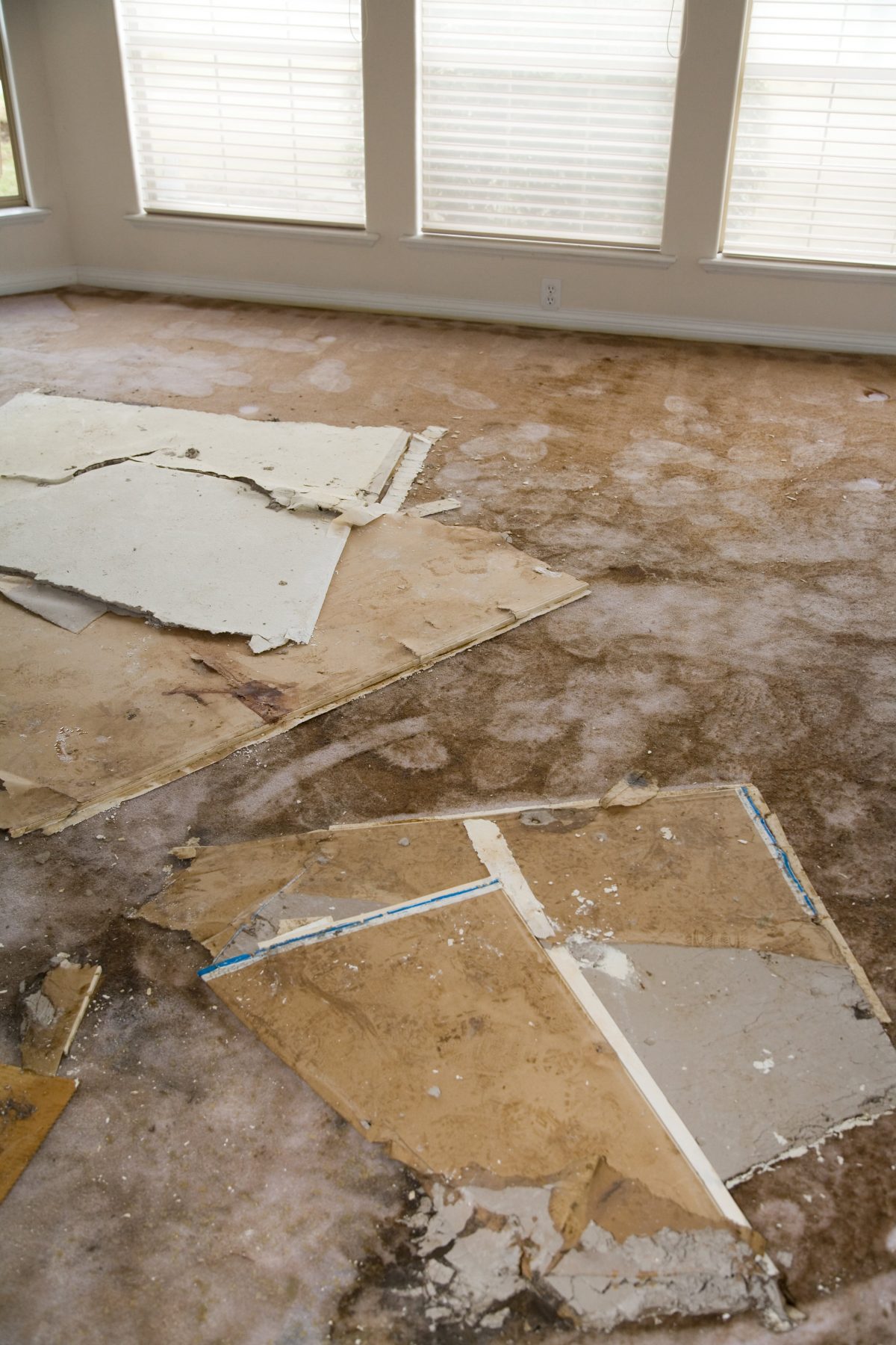 The Dos and the Don’ts of Dealing With Water Damage