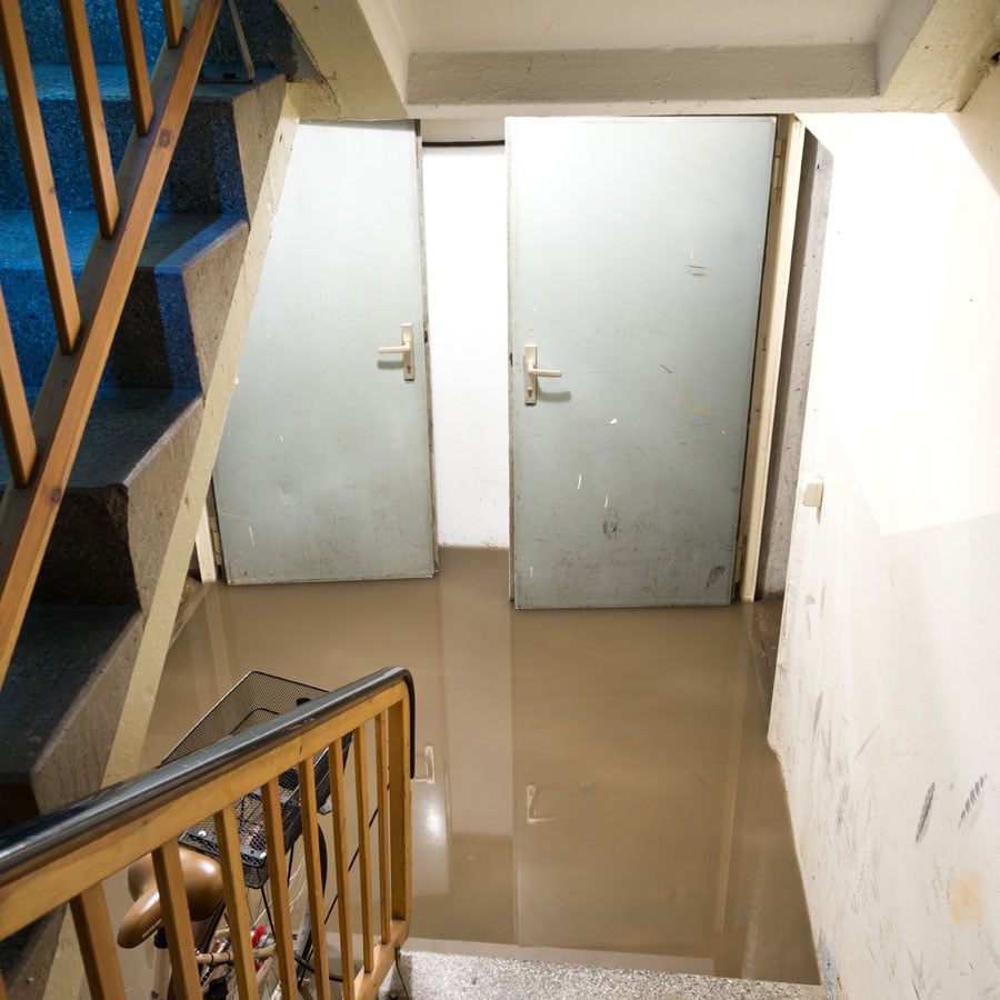 A Guide to Solve Your Basement Water Damage Immediately