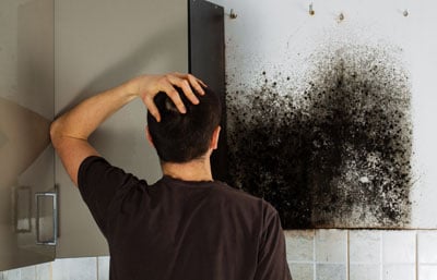 mold remediation Moorpark