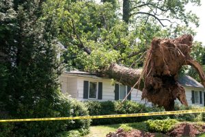 storm damage repair Simi Valley, California