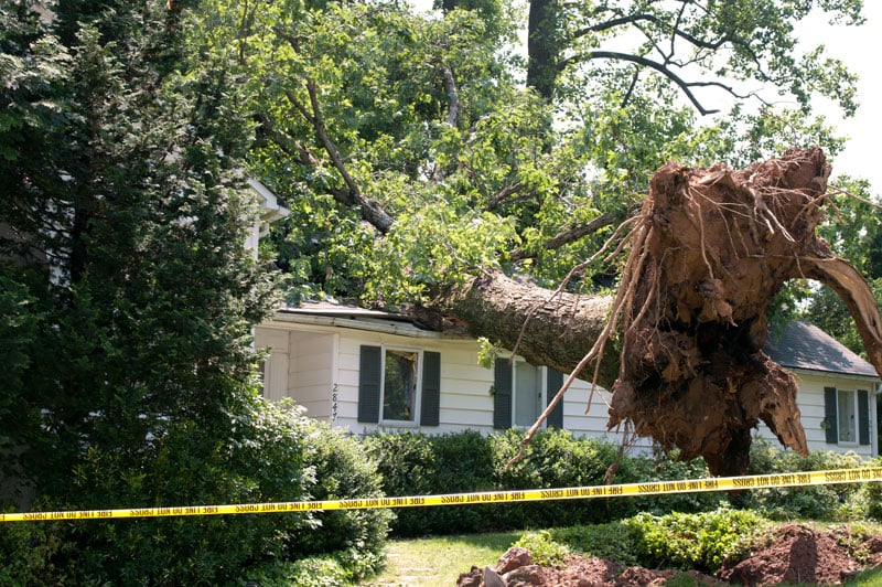 Expert Storm Damage Restoration for Residential and Commercial Properties