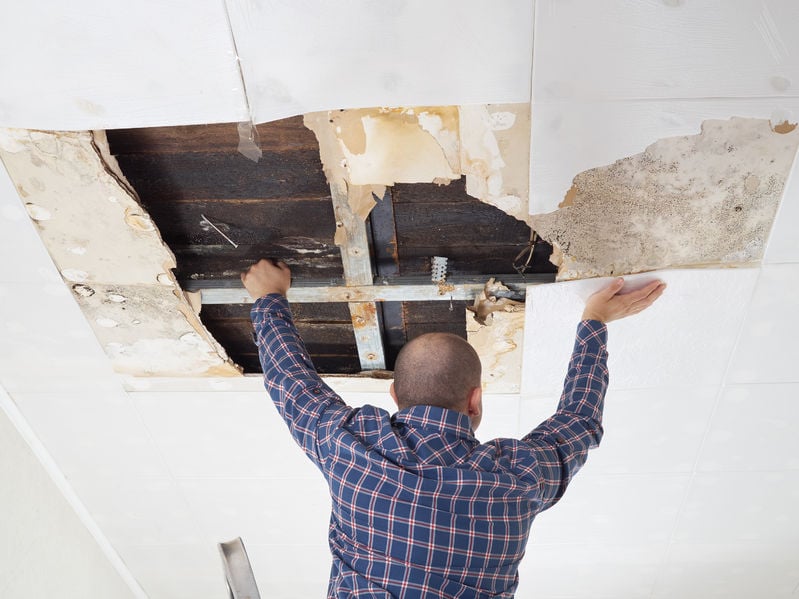 The Crucial Role of Certified Restoration Technicians