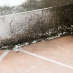 mold-repair