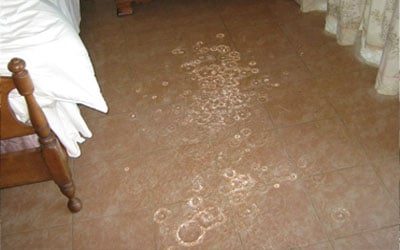 water-damage-in-home