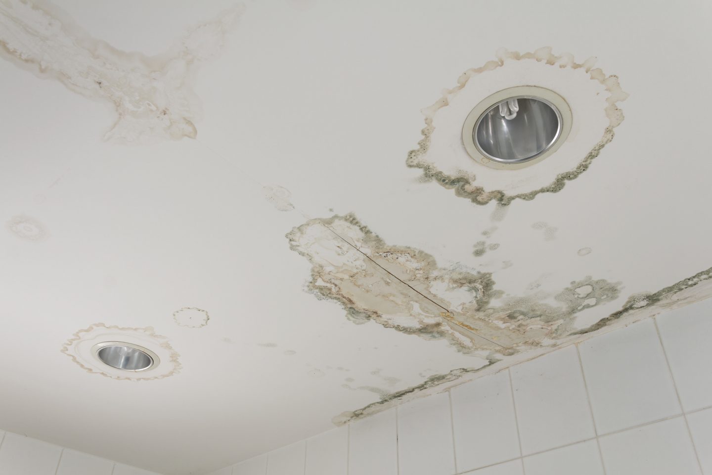 How to Tell If Water Damage Is New or Old