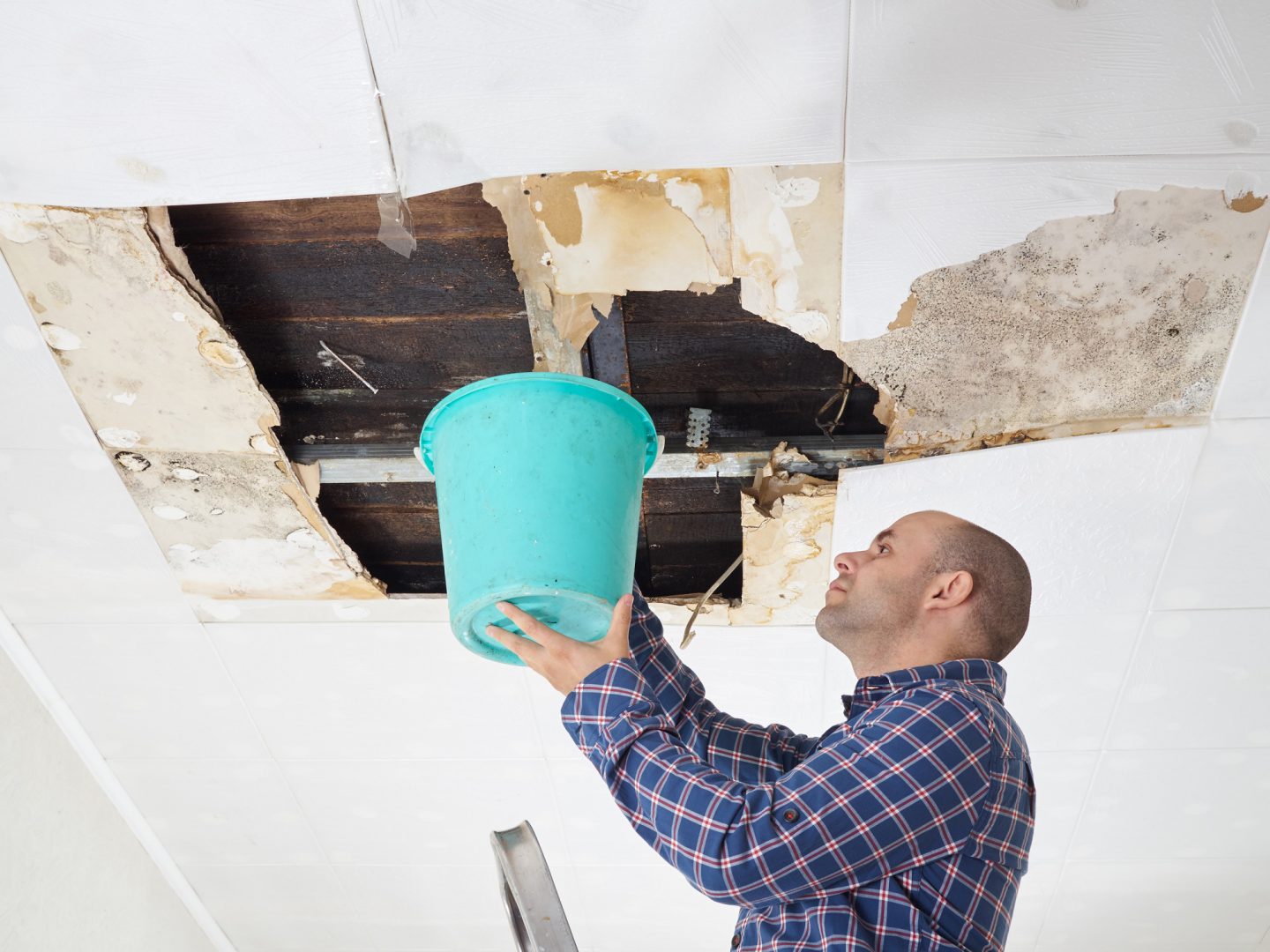 Dealing with Ceiling Water Damage: What You Need to Know
